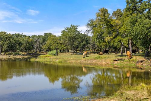 11230 Light Rd, Lipan, TX, 76462-4125 | Card Image