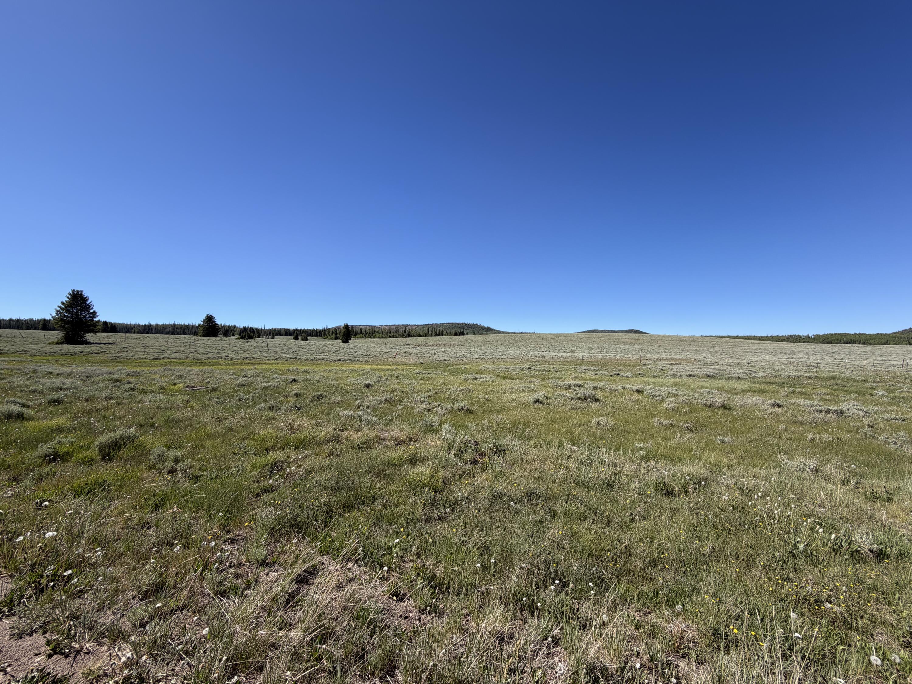 Land in Brian Head