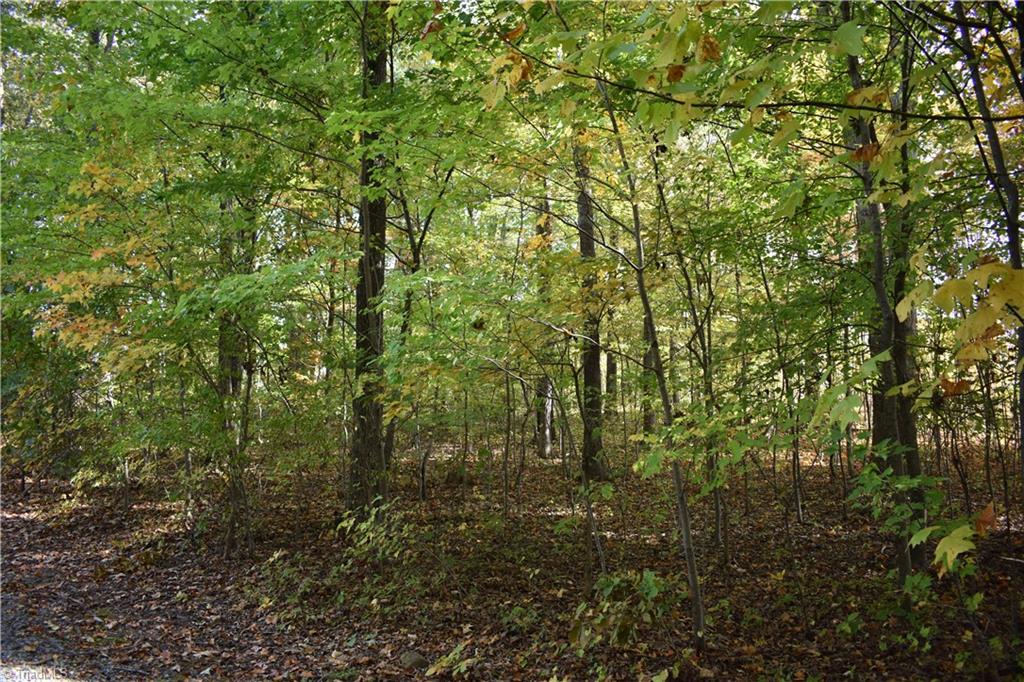 Land in Thomasville 4