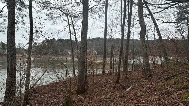 Lot 8 County Road 106, Home with 0 bedrooms, 0 bathrooms and null parking in LOGAN AL | Image 5
