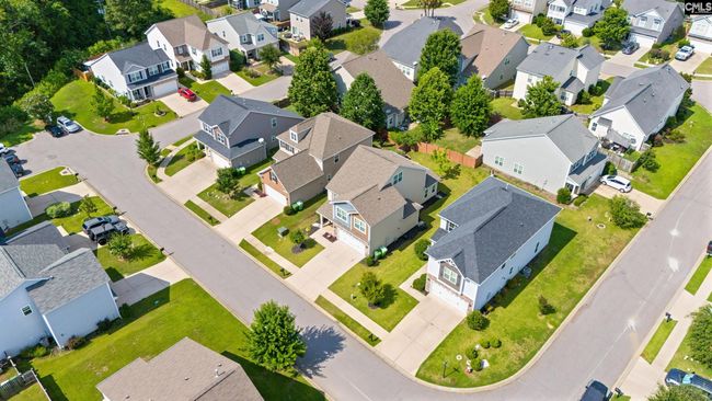 608 Calypso Ct, House other with 3 bedrooms, 3 bathrooms and null parking in Chapin SC | Image 42