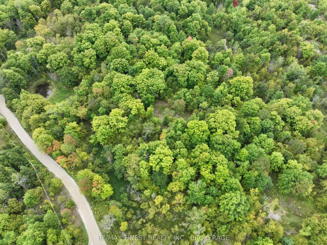 1147 Cronk Rd, Home with 0 bedrooms, 0 bathrooms and 4 parking in Parham ON | Image 35