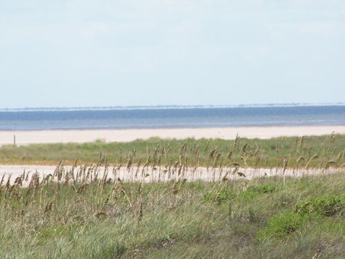 7-Lot 7 Padre Blvd, South Padre Island, TX, 78597 | Card Image
