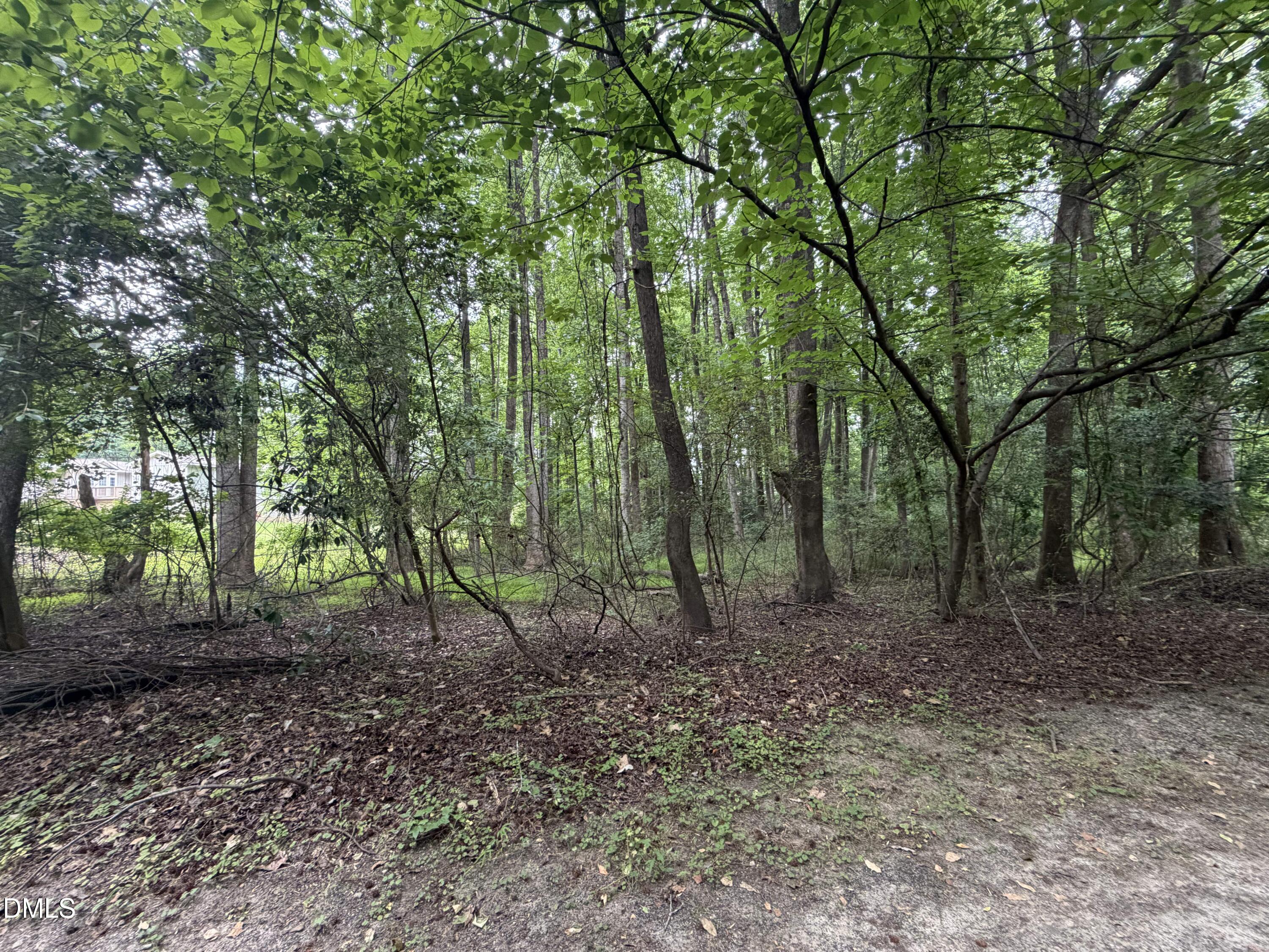 Land in Holly Springs 4