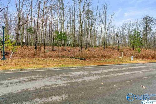 13 Winter Walk Way, Huntsville, AL, 35803 | Card Image
