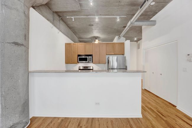 UNIT-112 - 1070 W 15 Th St, Condo with 2 bedrooms, 2 bathrooms and 1 parking in Chicago IL | Image 7