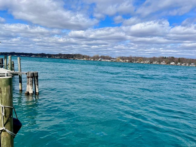 50169615-3582ce83-4caa-4ecd-8a23-a3d68cc4581e.JPG | Image 7