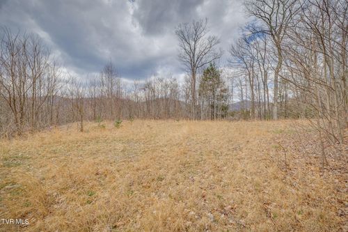 614 Tulip Poplar Trl, Butler, TN, 37640-5928 | Card Image