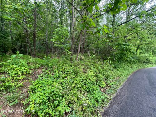 Tbd Dryden Loop, Dryden, VA, 24243 | Card Image