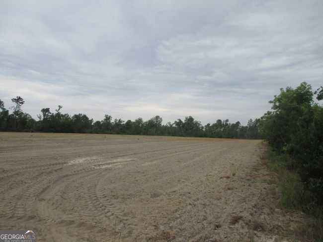 08600022T1 Red Bird Rd, Home with 0 bedrooms, 0 bathrooms and null parking in Lumber City GA | Image 5