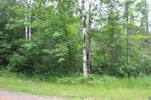 51XX Olson Road, BRULE, WI, 54820 | Card Image