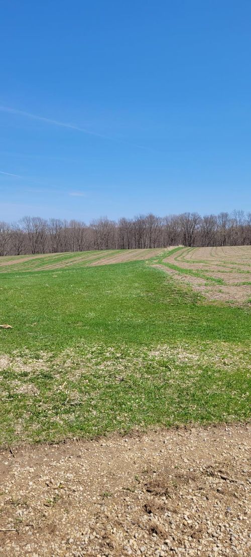 XXX 270th Ave, MAIDEN ROCK, WI, 54750 | Card Image