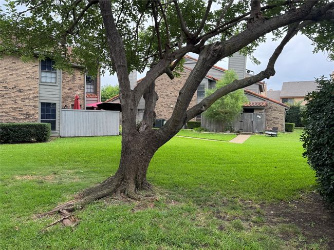View of green lawn | Image 15