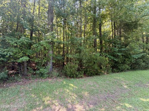 Lot 18 Blounts Creek Rd, Blounts Creek, NC, 27814 | Card Image