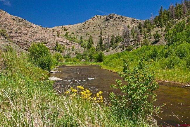518 Cebolla River Rd, Home with 0 bedrooms, 0 bathrooms and null parking in Powderhorn CO | Image 4