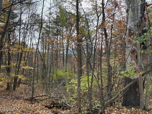 954A State Route 9n, Au Sable Forks, NY, 12912 | Card Image