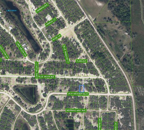 462 Jack Weisser Blvd, LAKE PLACID, FL, 33852 | Card Image