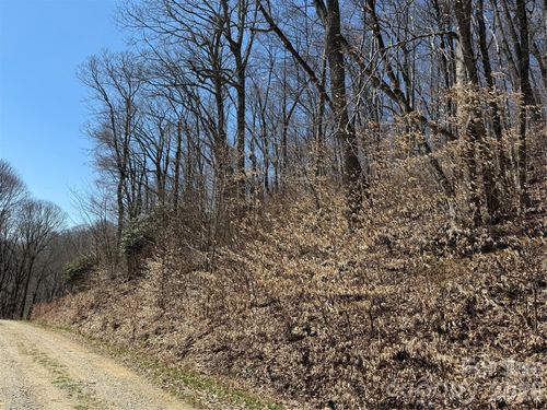 lot-4-000 Granny Shepherd Road, Mars Hill, NC, 28754 | Card Image