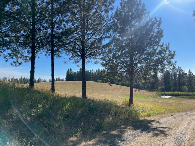 181 Harris Ridge Loop, House other with 3 bedrooms, 3 bathrooms and 2 parking in Kooskia ID | Image 14