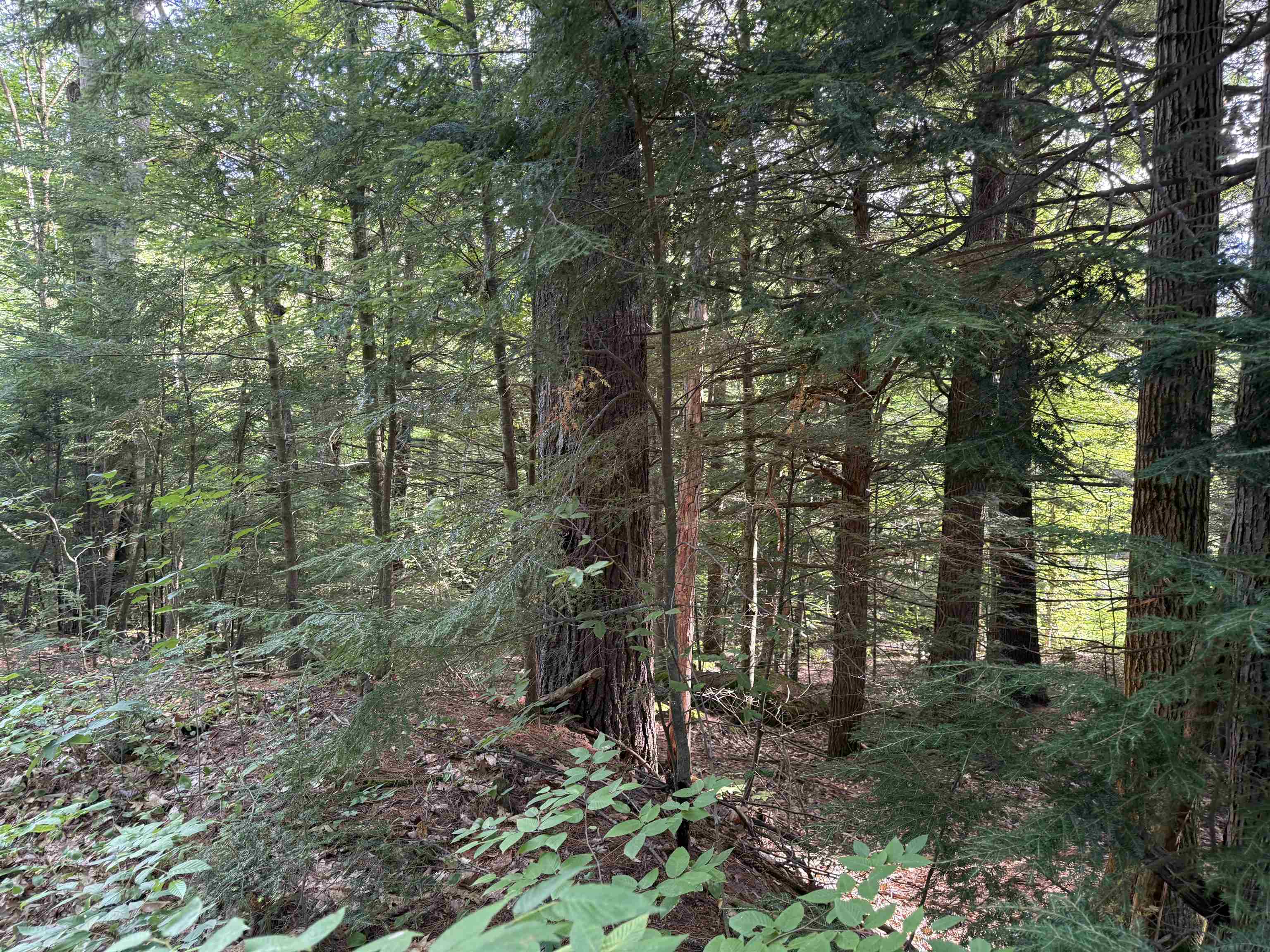 Land in Hillsborough 4