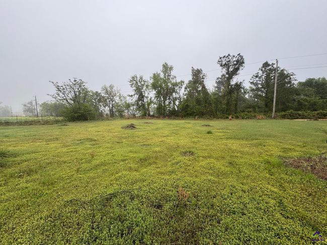 0 Smyrna Road, Home with 0 bedrooms, 0 bathrooms and null parking in Uvalda GA | Image 10
