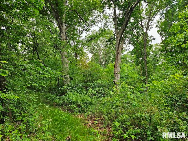 13973 Halliday Rd, Home with 2 bedrooms, 1 bathrooms and null parking in Plainview IL | Image 66