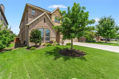 Beautiful front yard! | Image 3