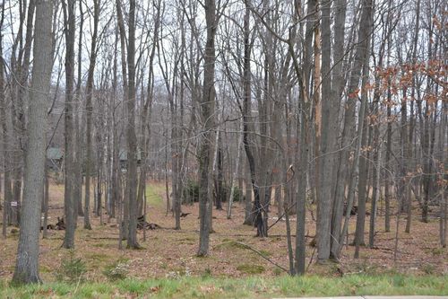 Lot #33 Buck Wood Lane, Rib Mountain, WI, 54401 | Card Image