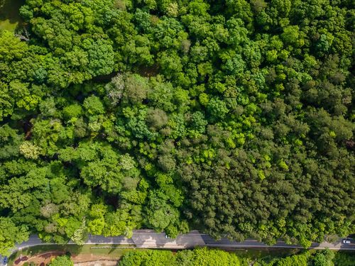 4.5 AC Hickory Flat Hwy, woodstock, GA, 30188 | Card Image