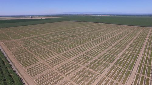 6783 County Road 33, Orland, CA, 95963 | Card Image