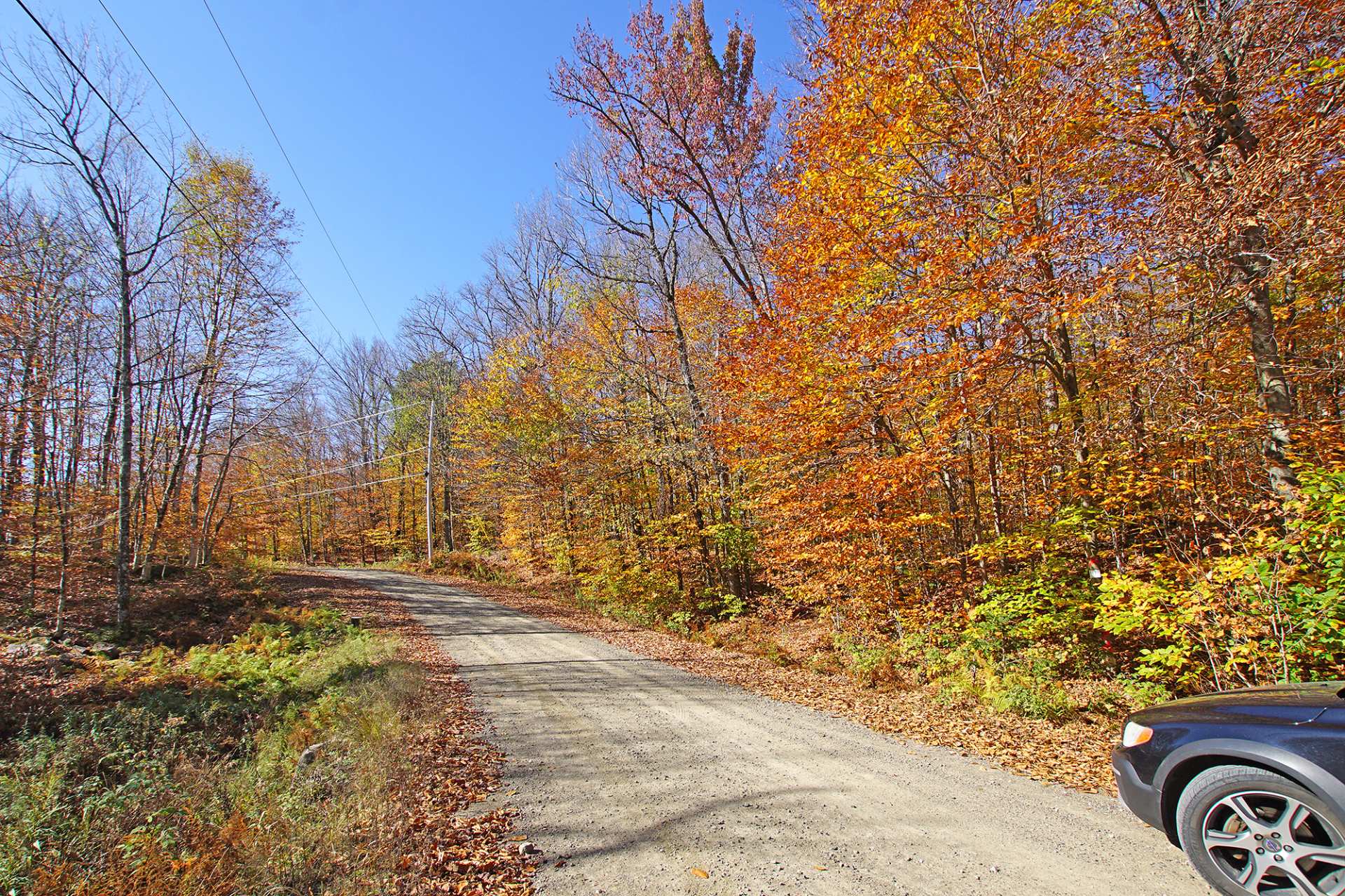 Land in Wentworth 5
