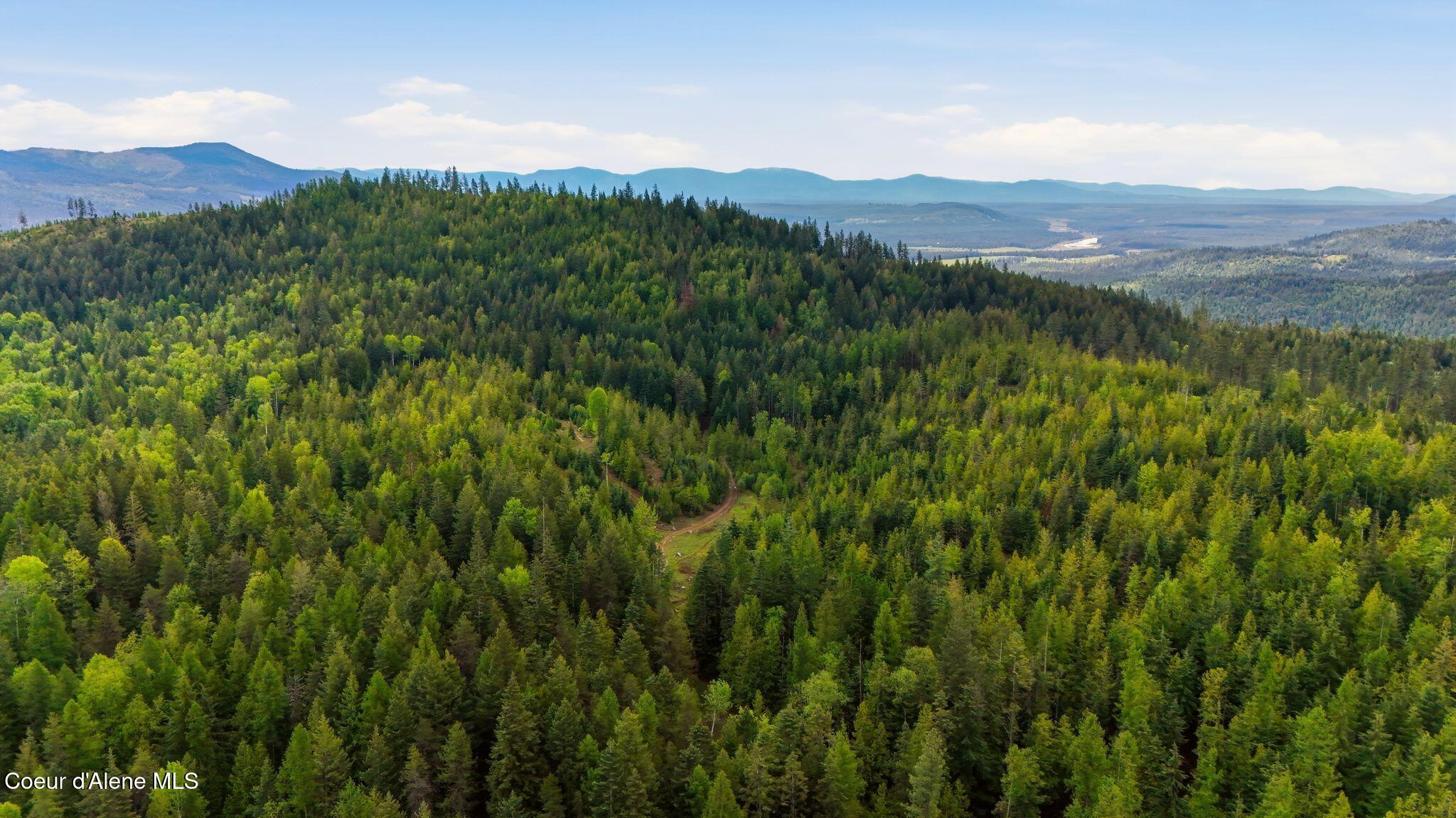 Land in Priest River 4