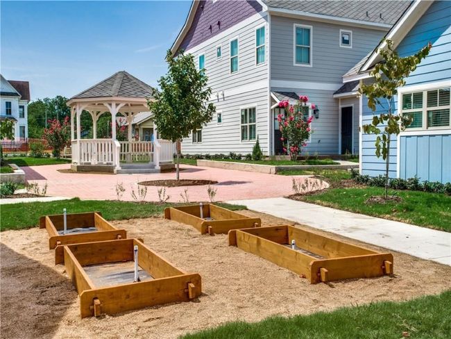 Community vegetable garden. | Image 17
