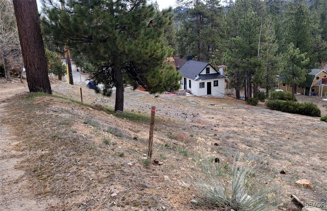 Land in Big Bear Lake 3