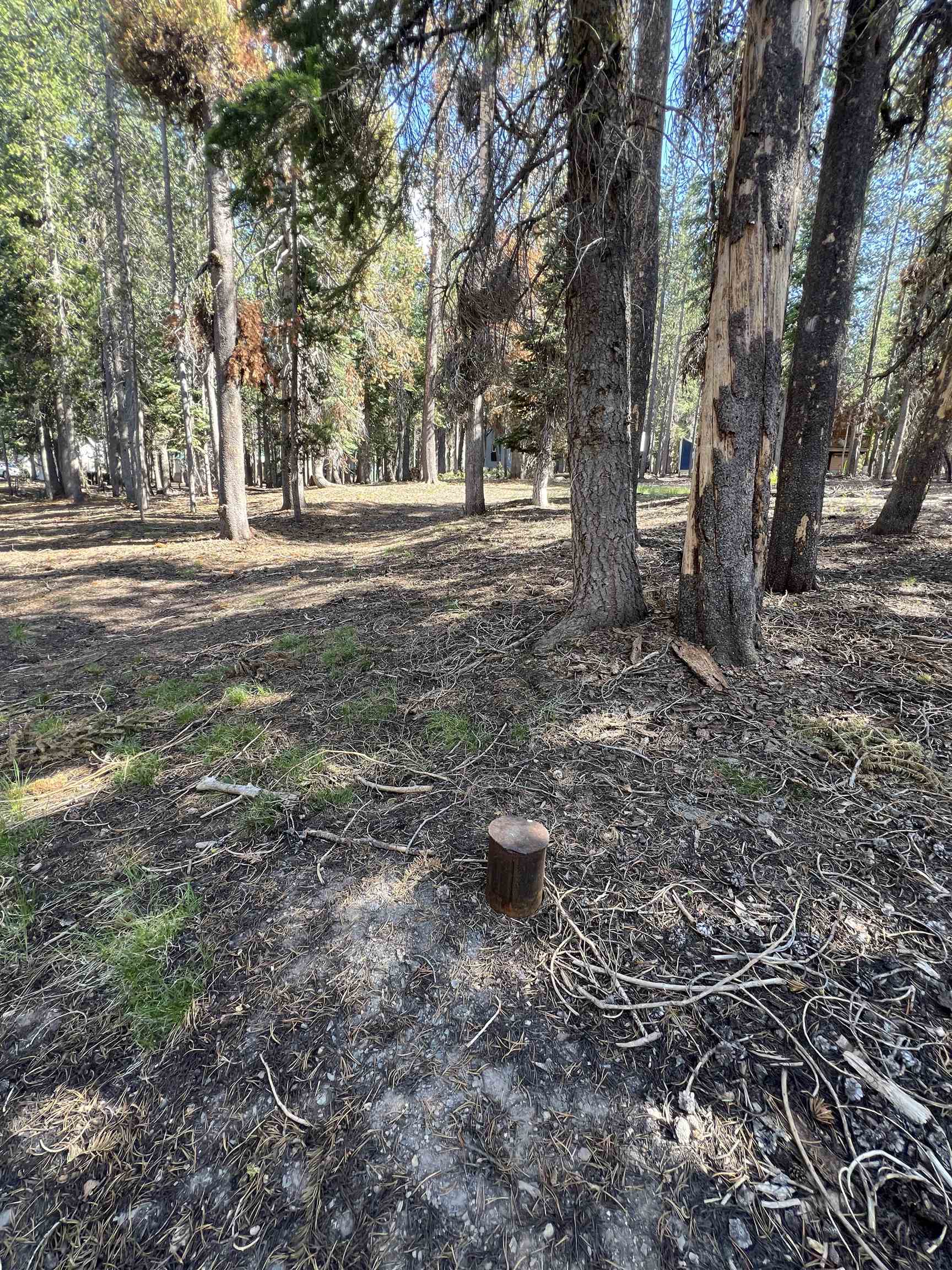 Land in McCloud