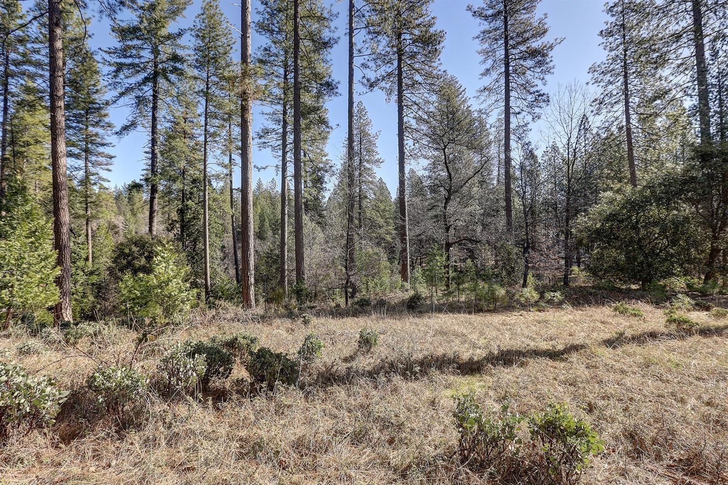 Land in Grass Valley 5