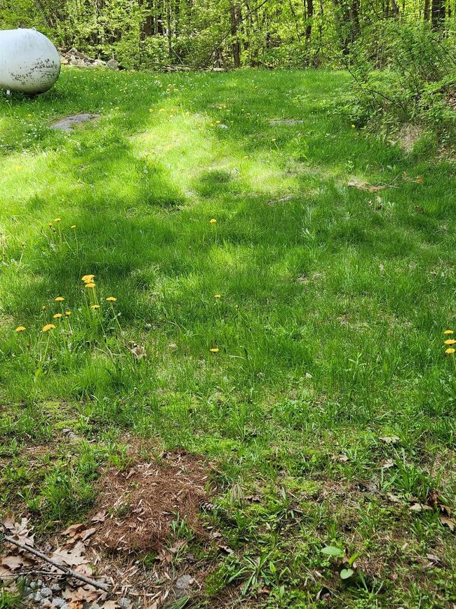 APT-2 - 562 Route 103, Condo with 1 bedrooms, 1 bathrooms and null parking in Sunapee NH | Image 23