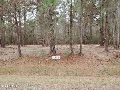 Lot 61 Eagle Trace Drive, Blounts Creek, NC, 27814 | Card Image