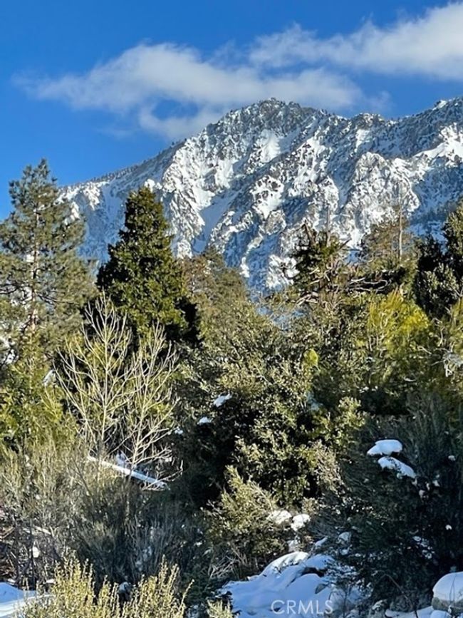 41560 Alder Dr, House other with 2 bedrooms, 3 bathrooms and 2 parking in Forest Falls CA | Image 58