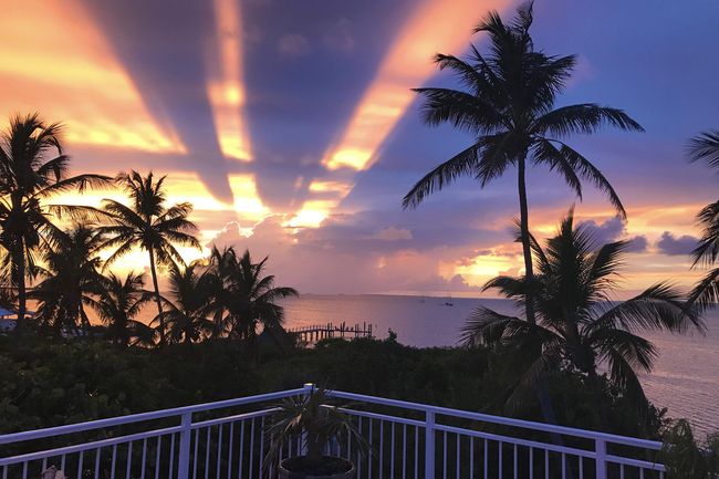 Rooftop Sunset View | Image 11