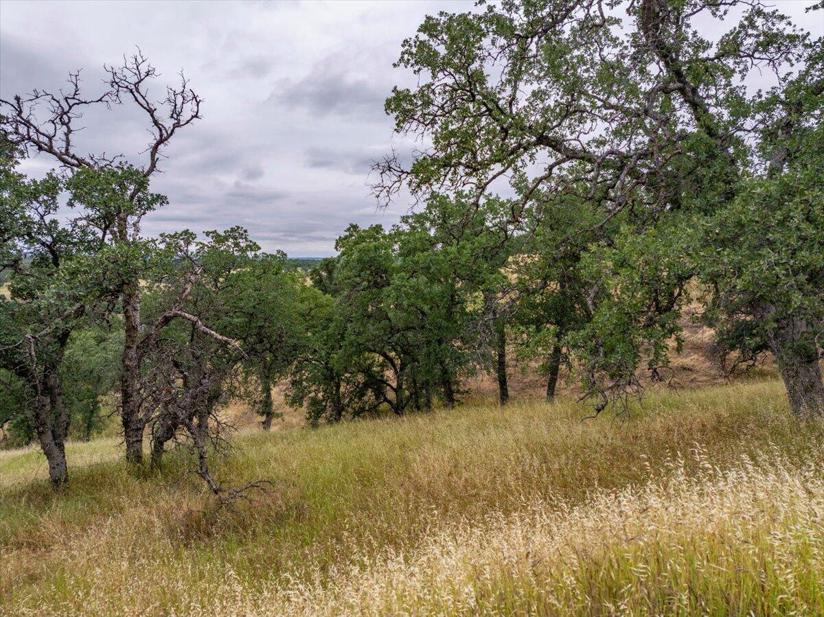 Land in Red Bluff 3