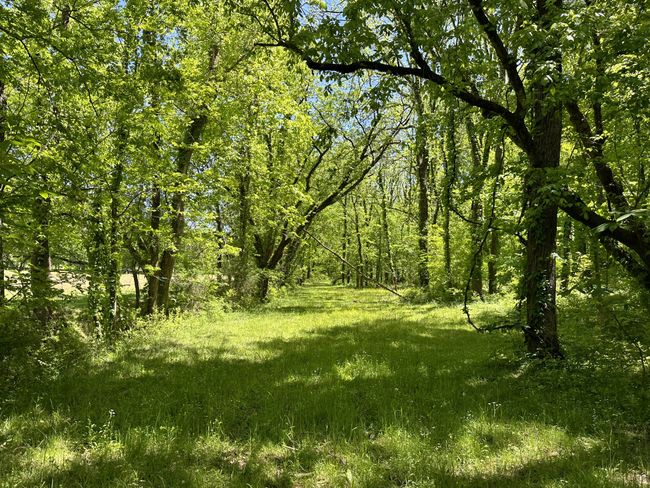 66 Thompson Hollow Rd, Home with 0 bedrooms, 0 bathrooms and null parking in Taft TN | Image 11