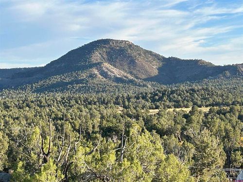 2519 Green Shadows Rd, Durango, CO, 81303 | Card Image