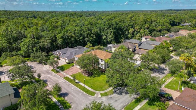 16306 Doune Court, House other with 5 bedrooms, 3 bathrooms and null parking in Tampa FL | Image 53