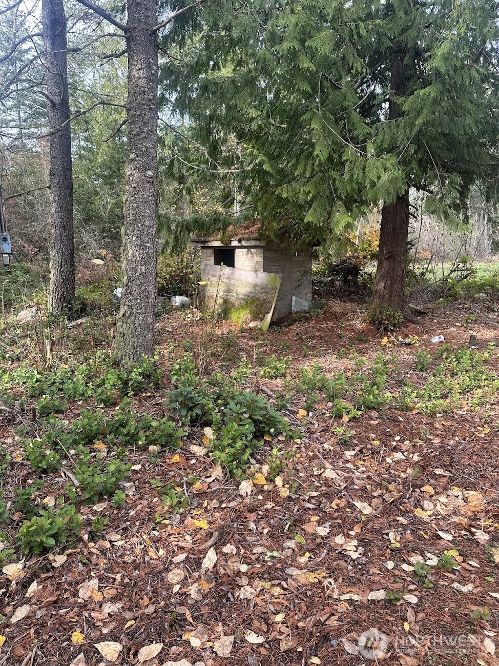 Land in Yelm 4