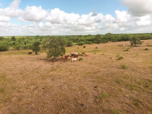 TBD County Road 446, Waelder, TX, 78959 | Card Image