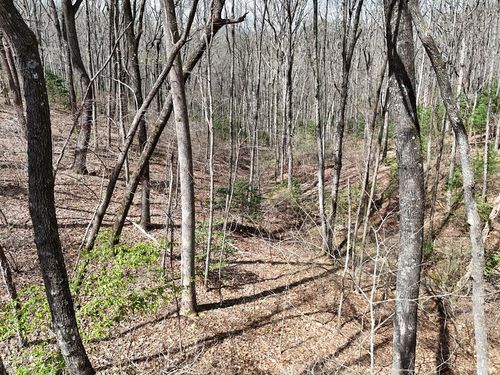 L129/124 Laurel Crossing, Blue Ridge, GA, 30513 | Card Image