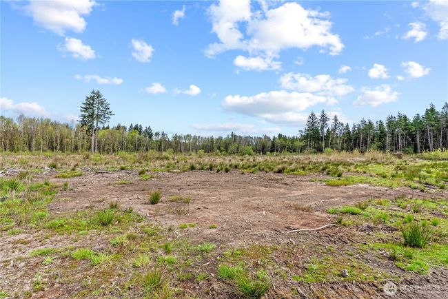 4949 Jackson Hwy, Home with 0 bedrooms, 0 bathrooms and null parking in Toledo WA | Image 29