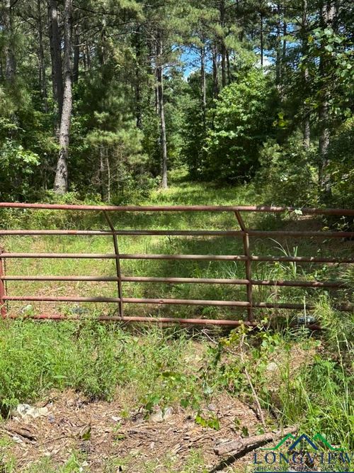 TBD 83.5 Ac W Liberty Road, Harleton, TX, 75651 | Card Image