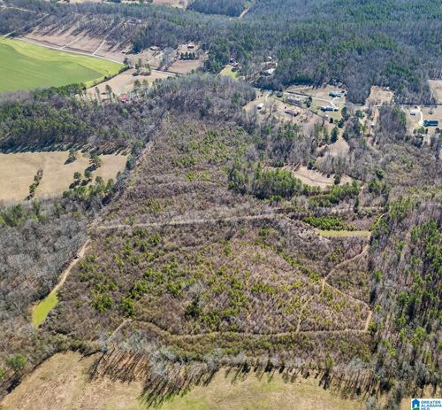 0-0 Wellington Rd, Wellington, AL, 36279 | Card Image